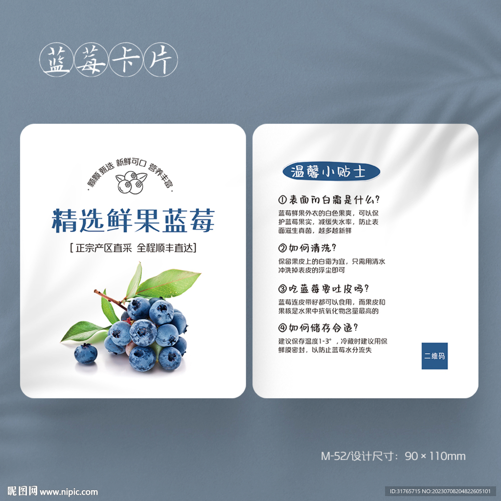 简约蓝莓水果宣传卡片