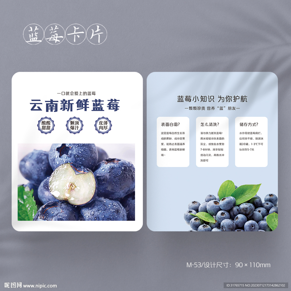 藍莓水果卡片說明卡