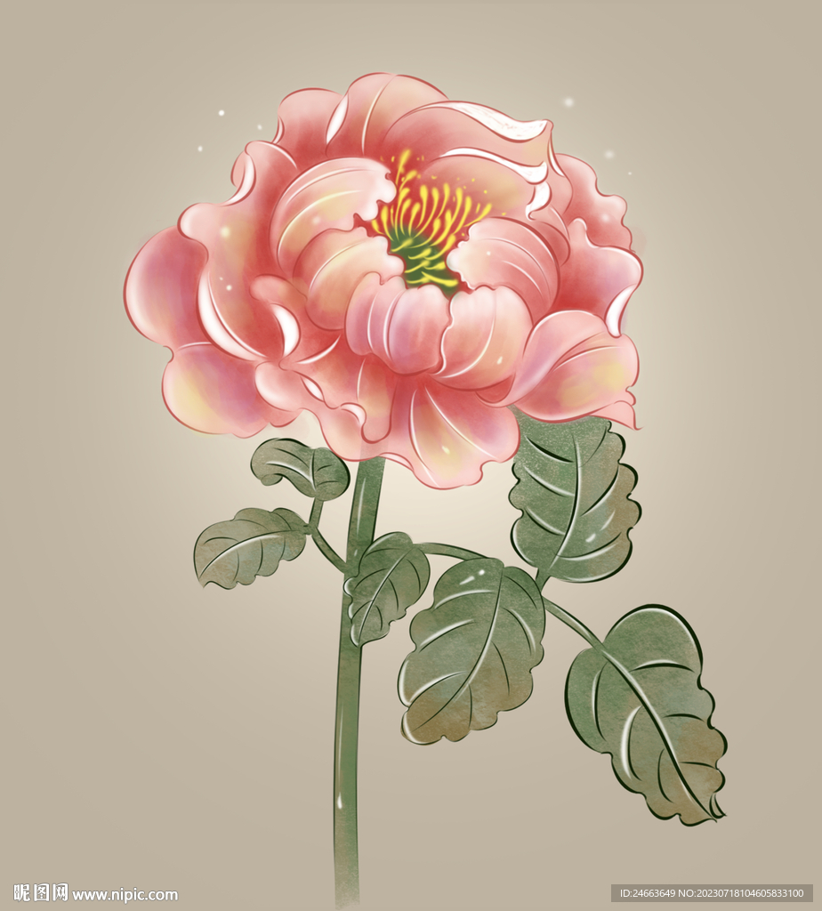 月季花