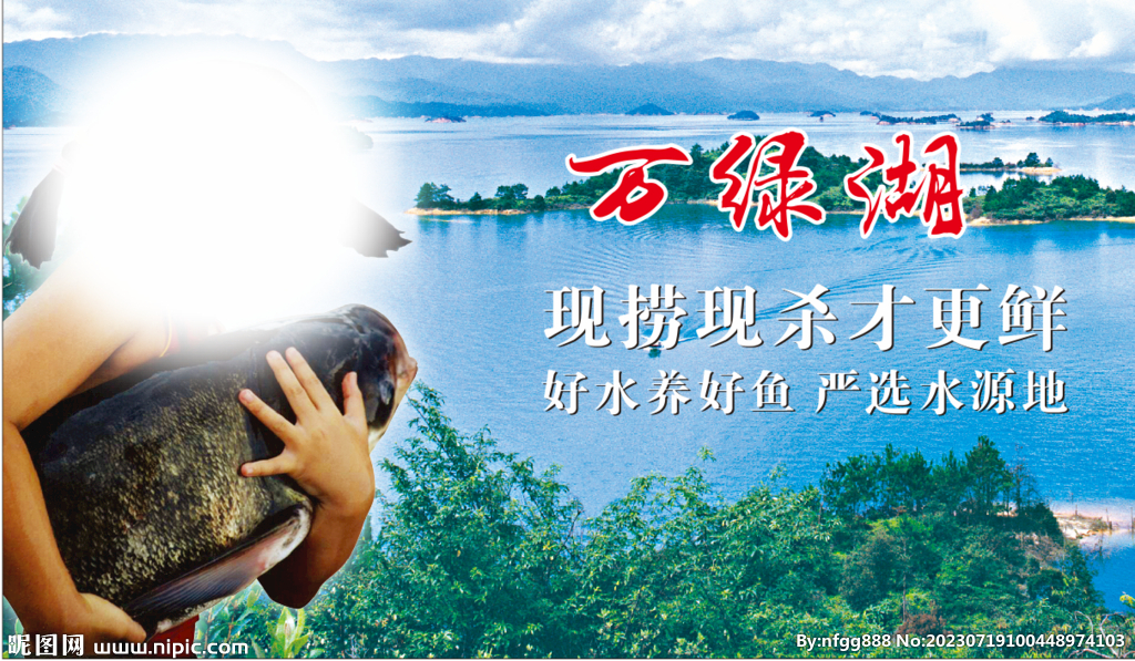 萬綠湖大頭魚 