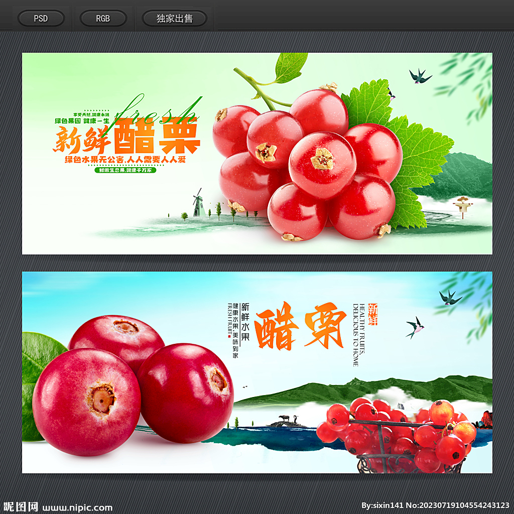 醋栗