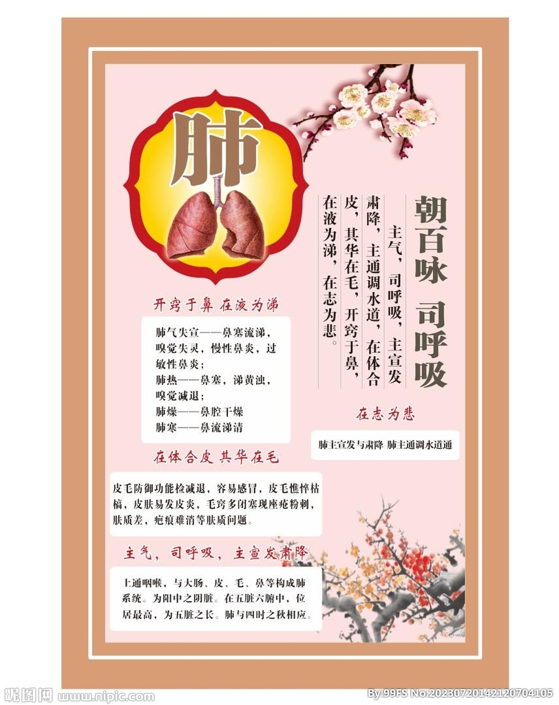 肺之養生 