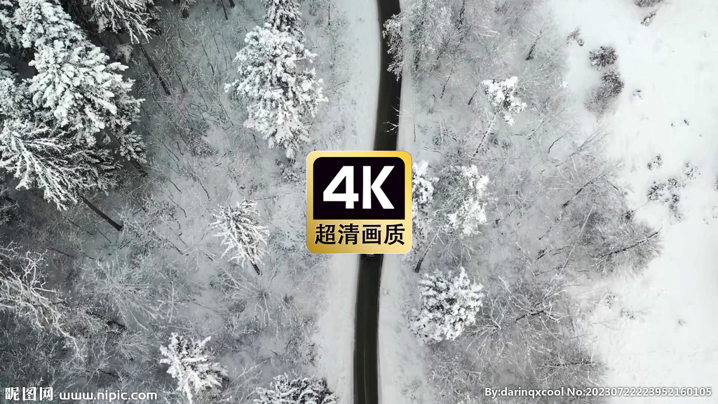 冬日森林道路上行駛的汽車