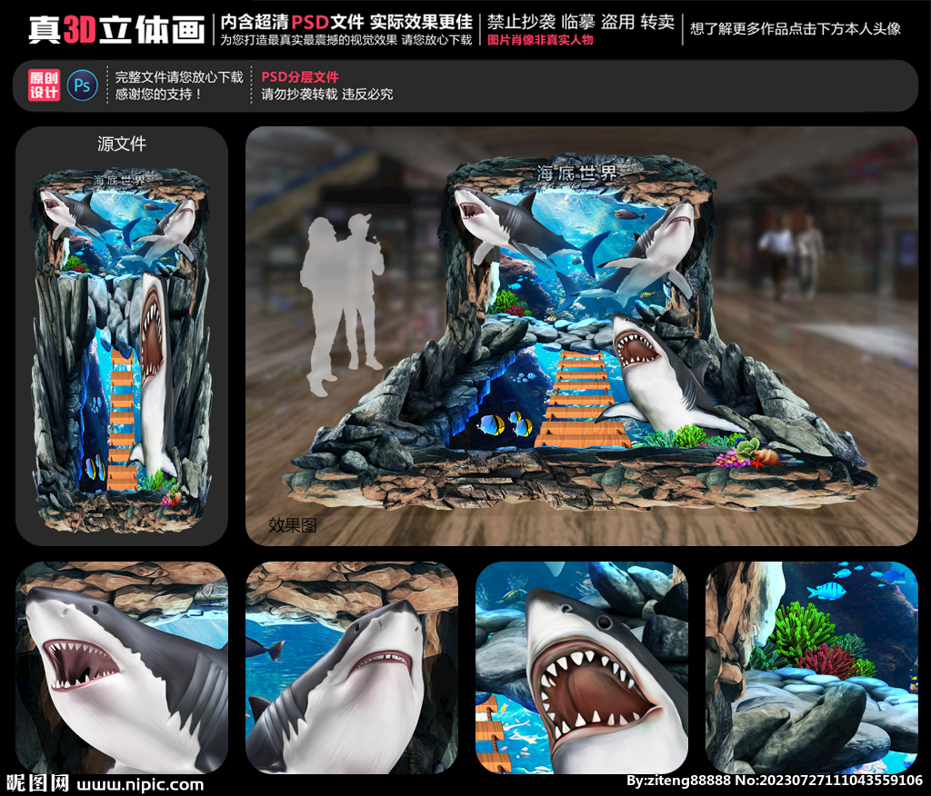 海底鯊魚立體畫