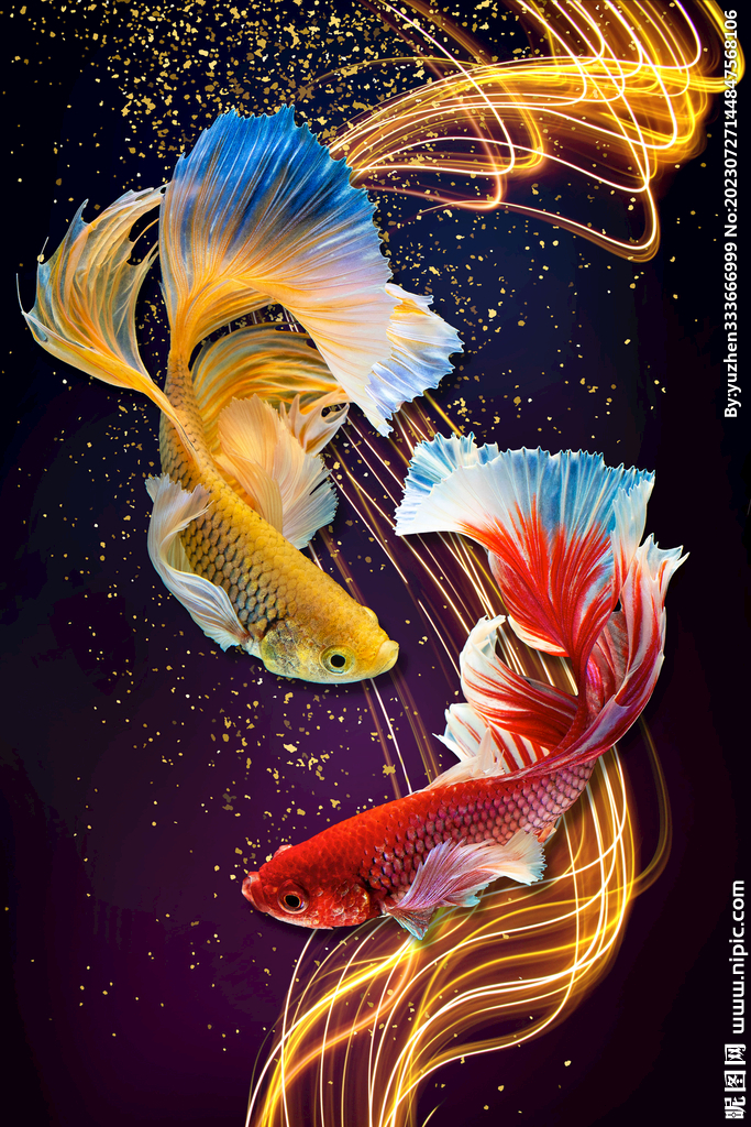 現代背有靠山九魚圖玄關掛畫圖片
