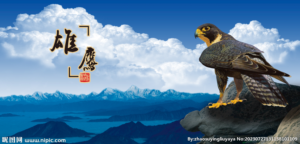 鷹隼鷹老鷹