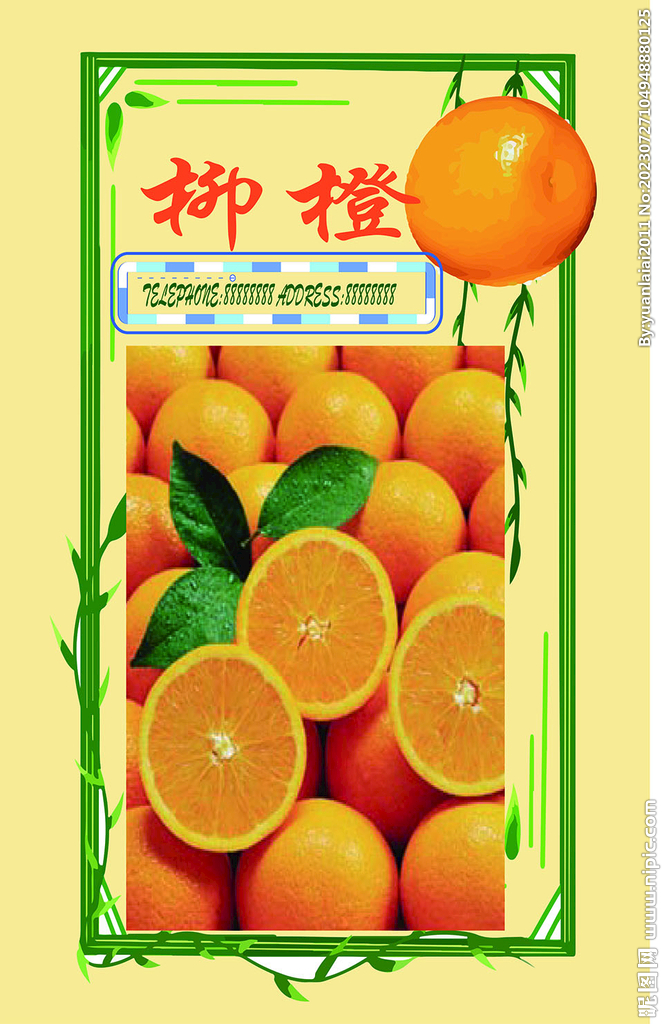 柳橙