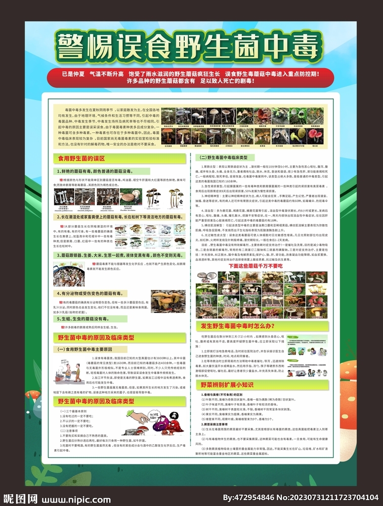 預(yù)防毒蘑菇野生菌中毒知識(shí)海報(bào)