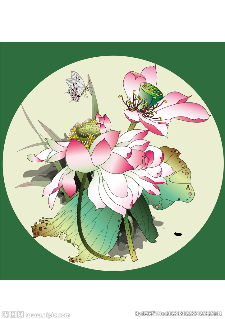 荷花矢量圖