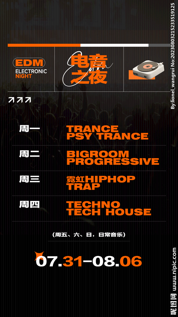 音樂風格 電音之夜