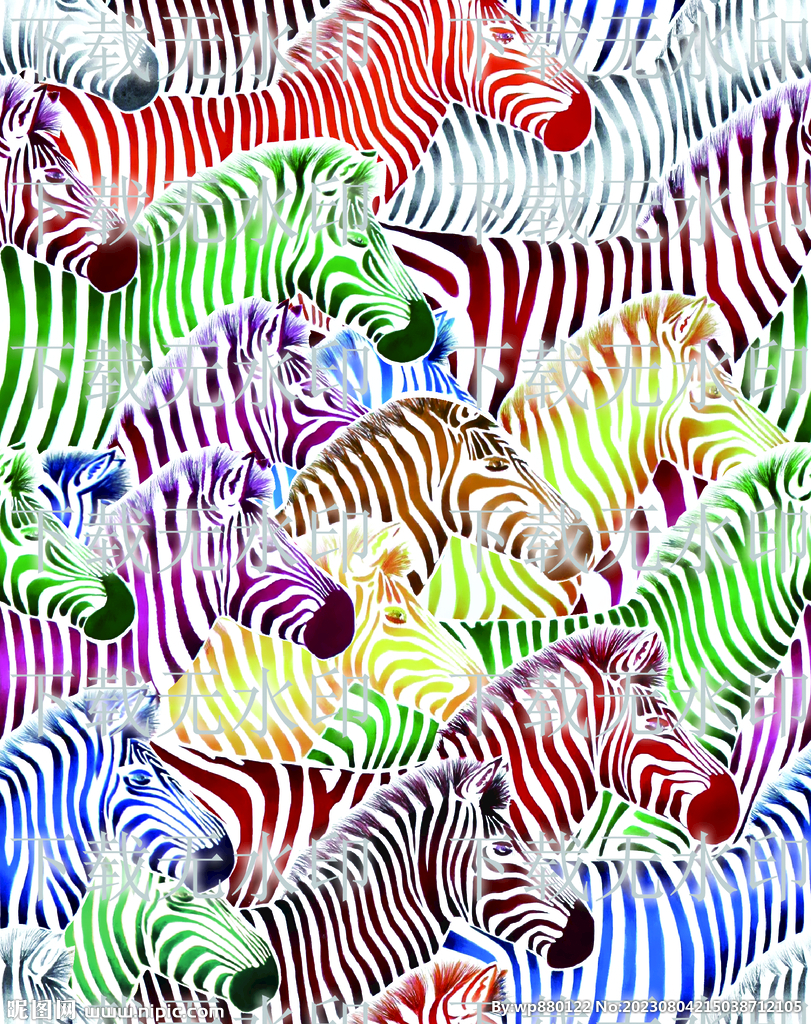 大牌斑馬