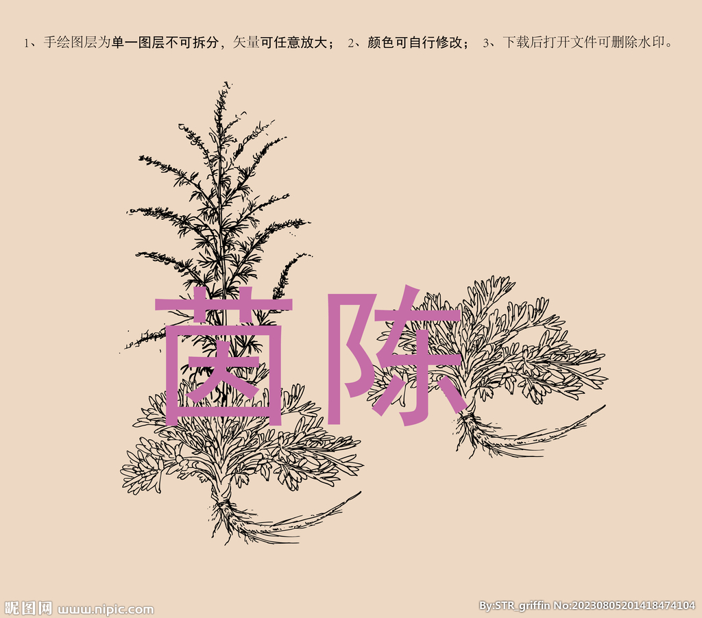茵陳