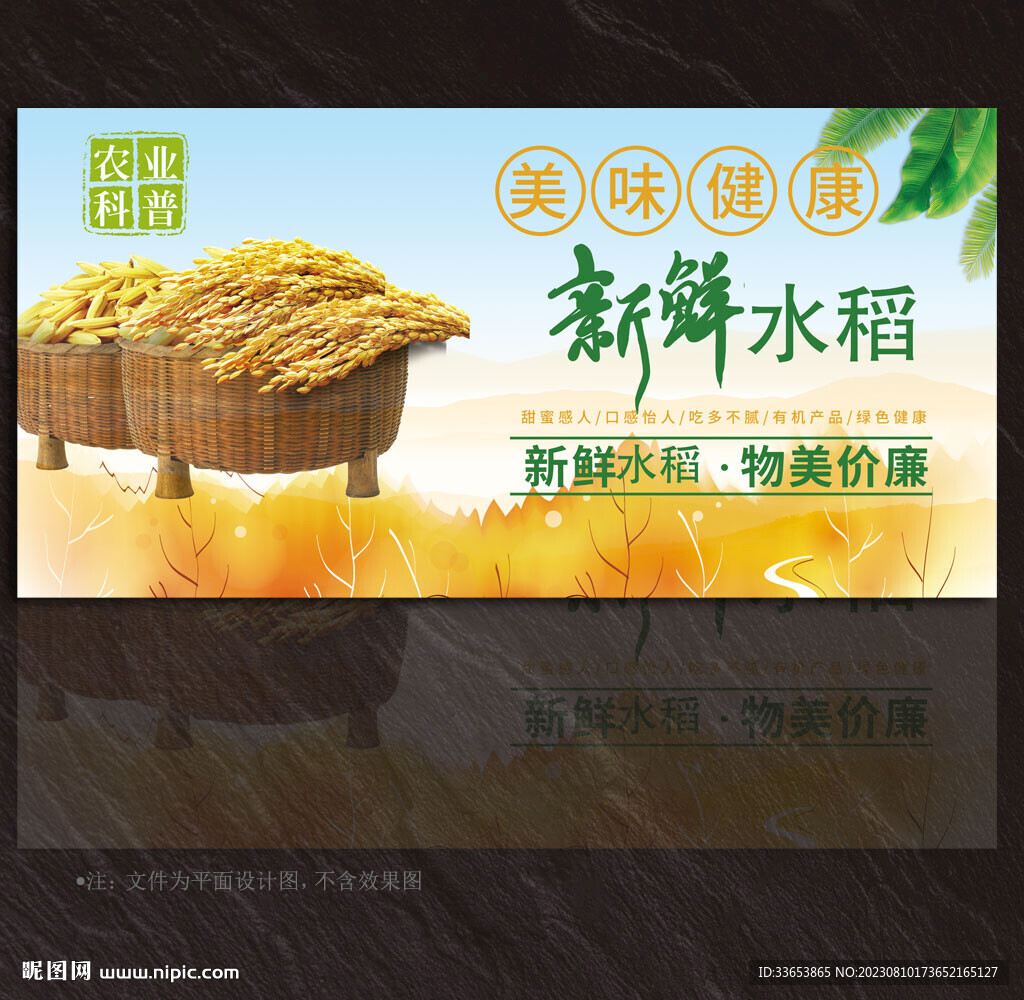 水稻展板