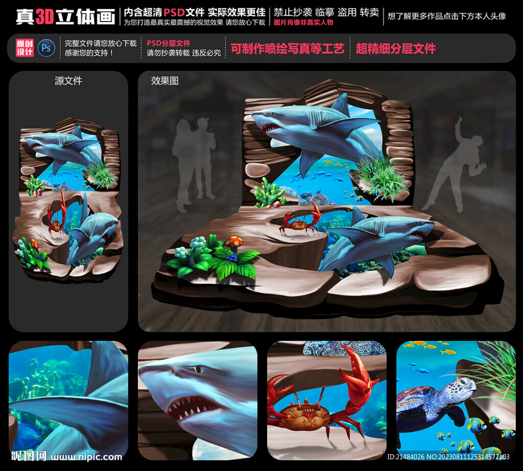 鯊魚立體畫