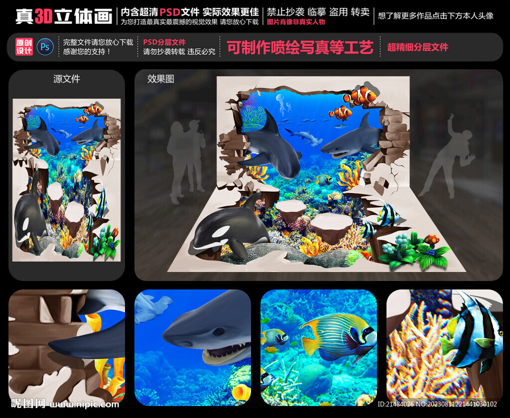 鯊魚