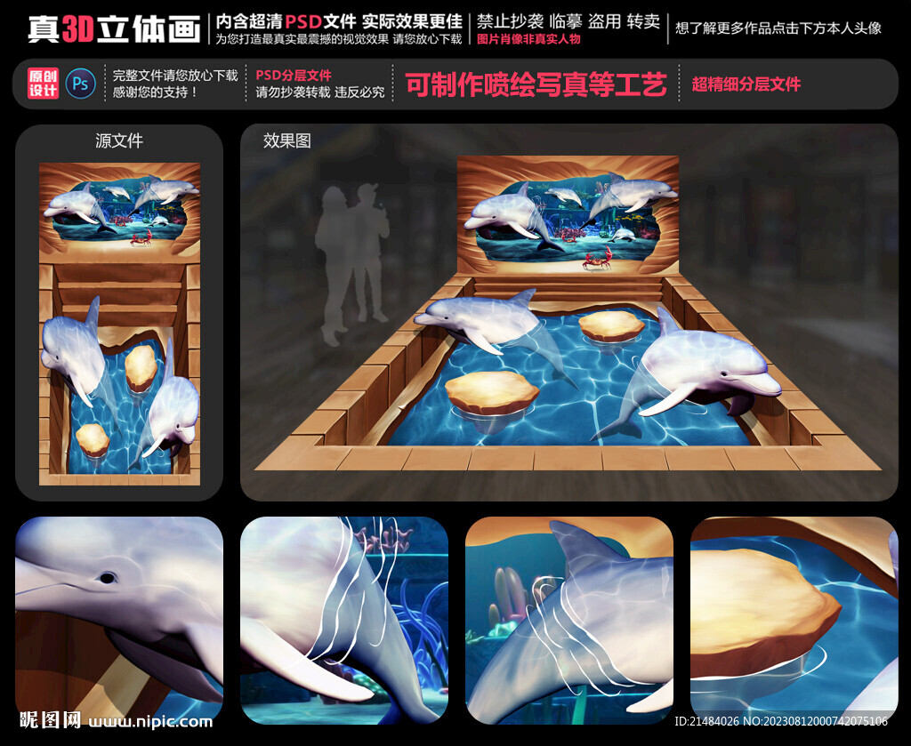 海豚