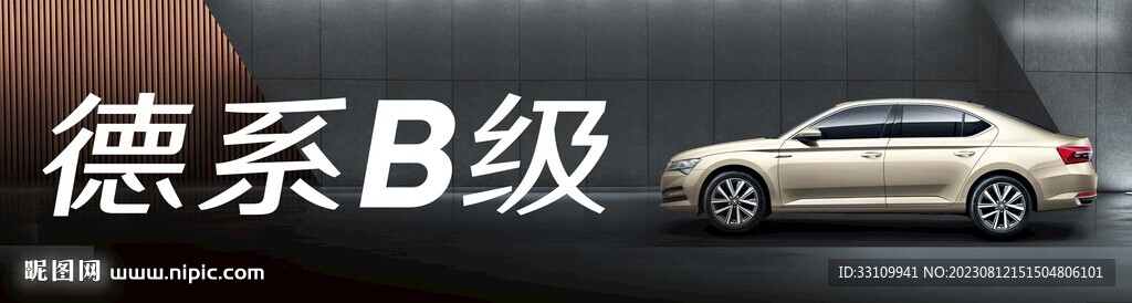 大眾車型