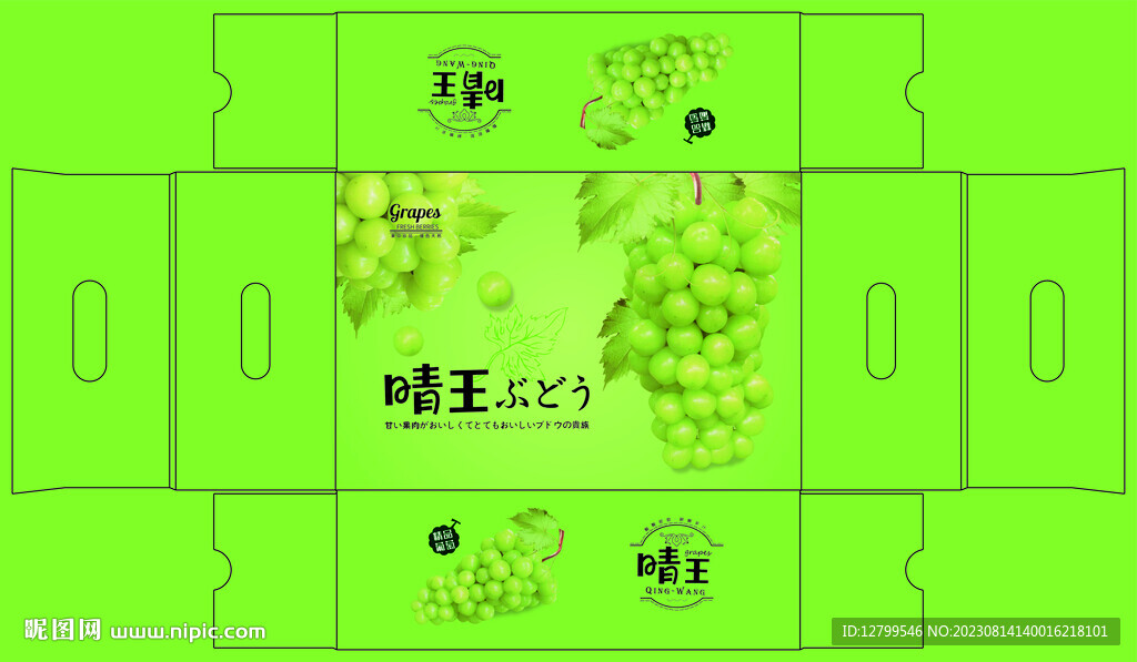 晴王葡萄