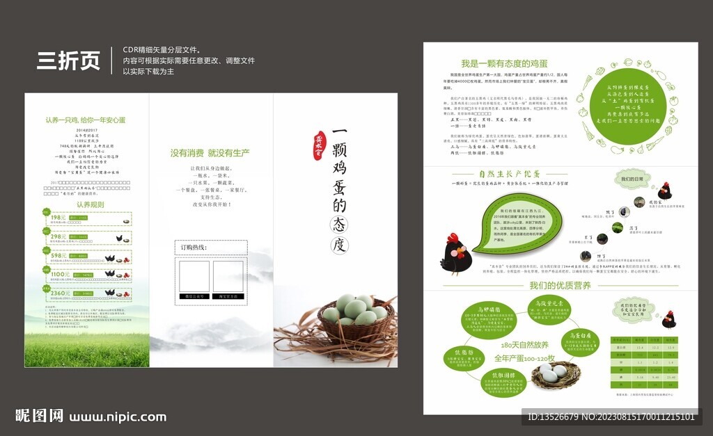 雞蛋三折頁