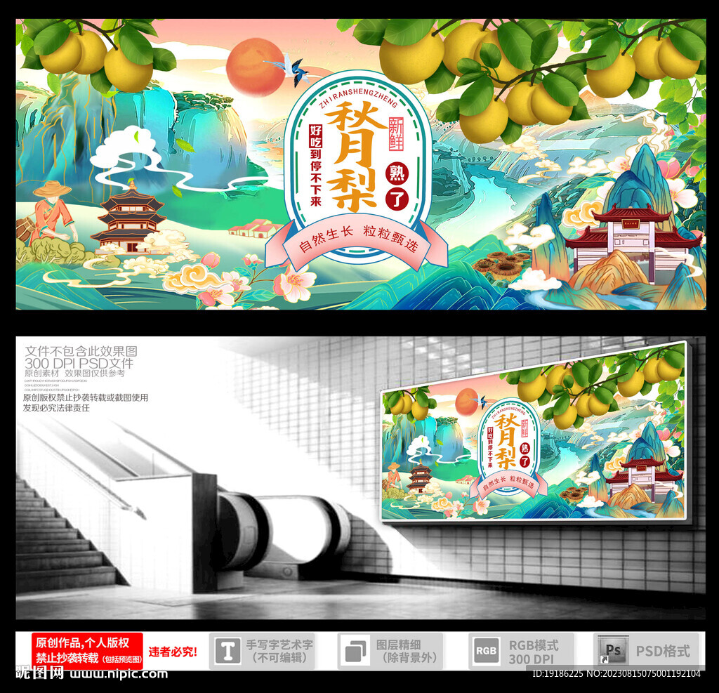秋月梨