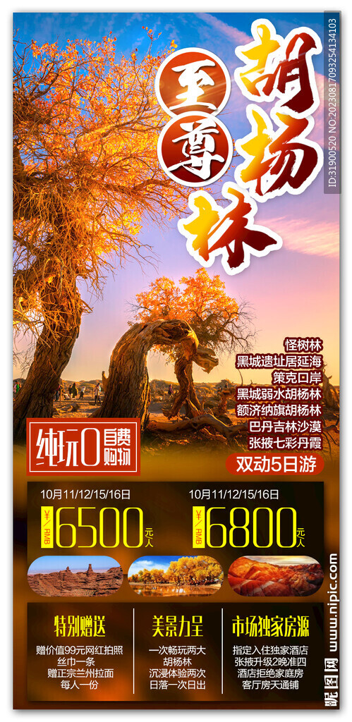 胡楊林