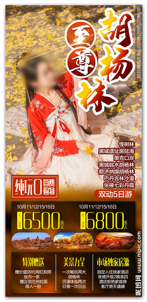 胡楊林旅游 