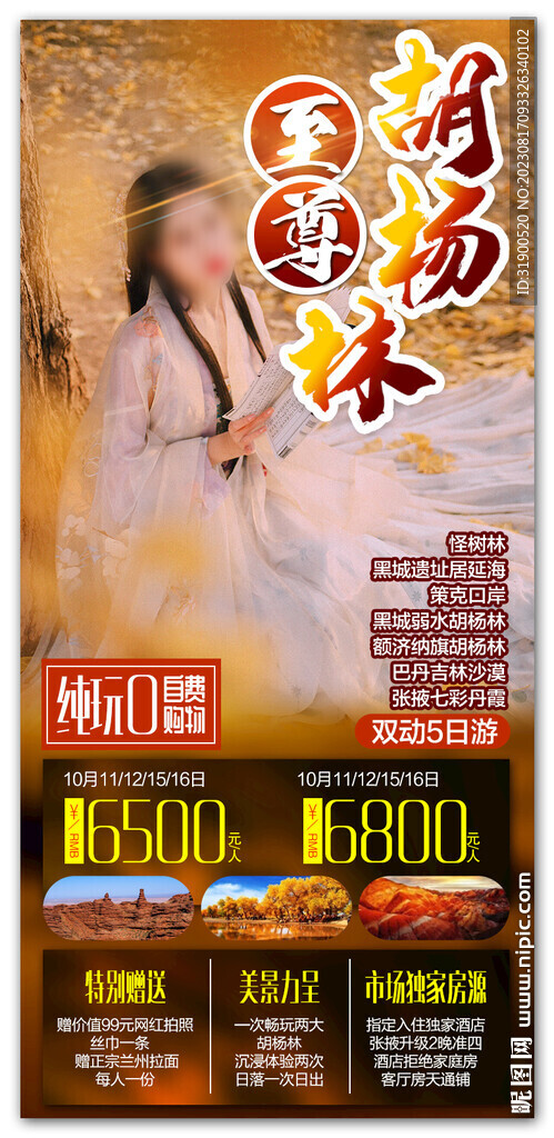 胡楊林