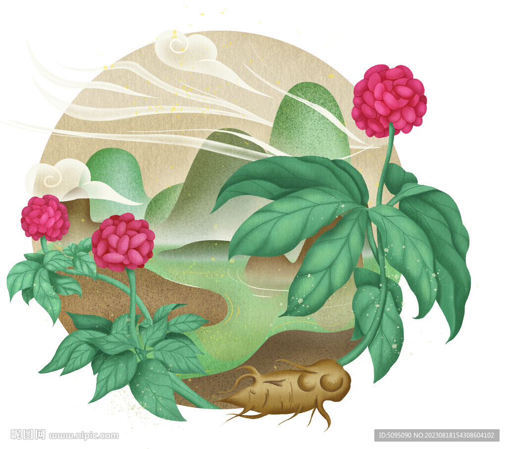 三七國風插畫