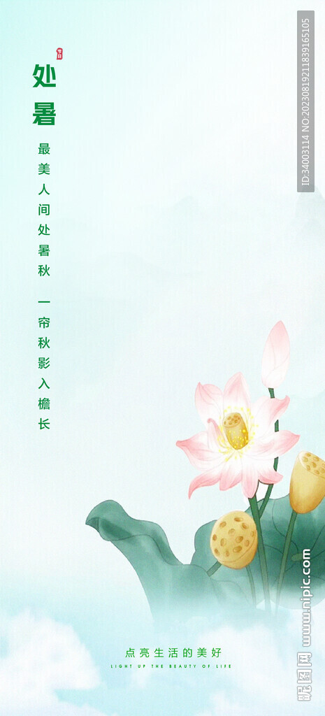 處暑 荷花