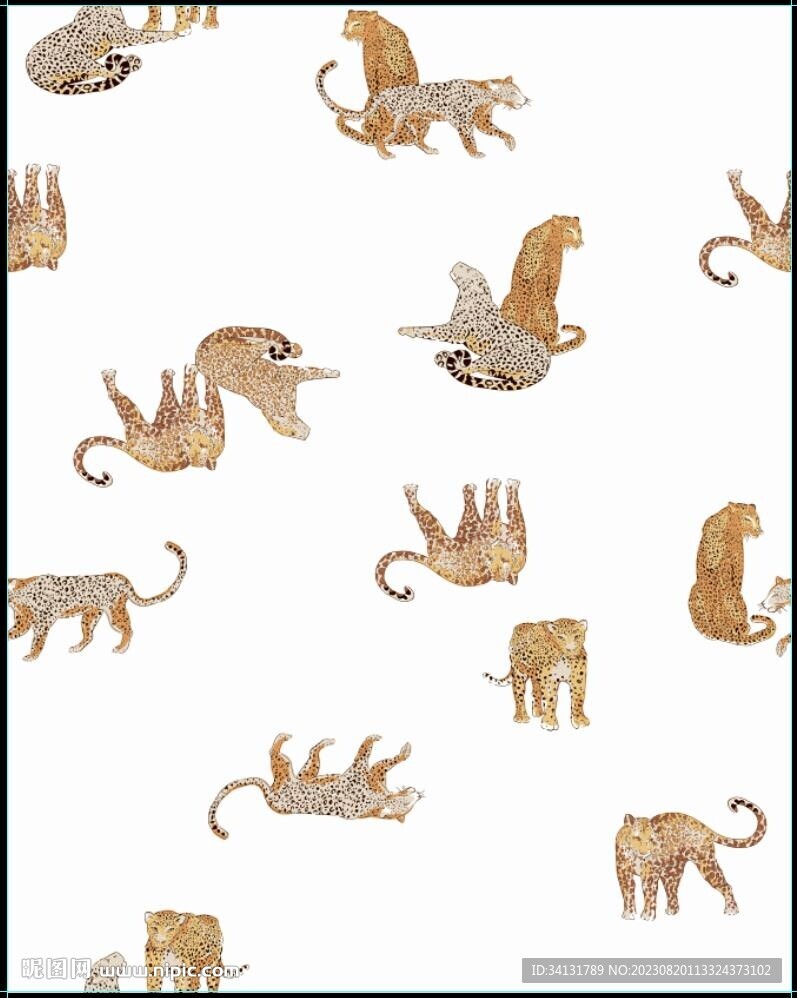豹