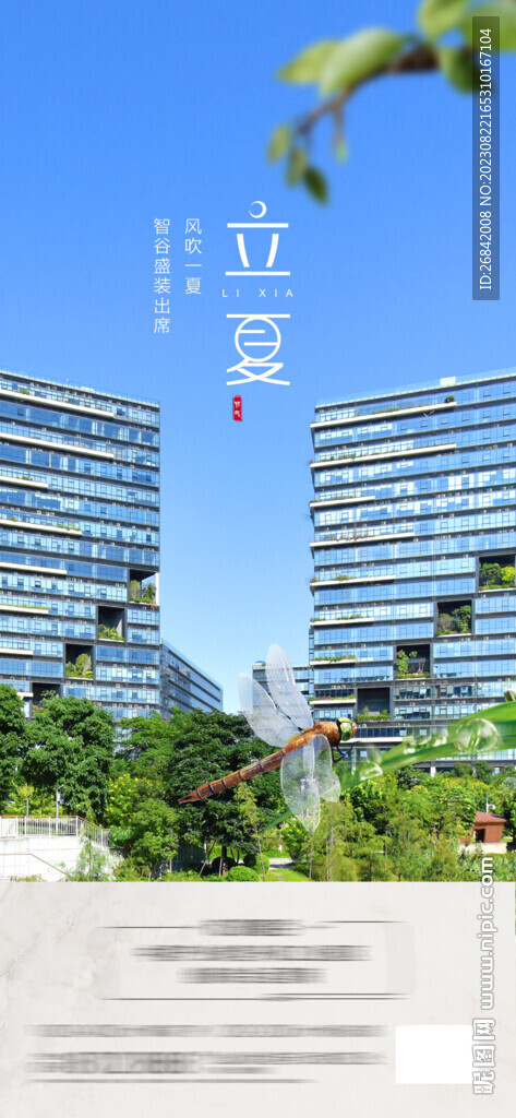 立春