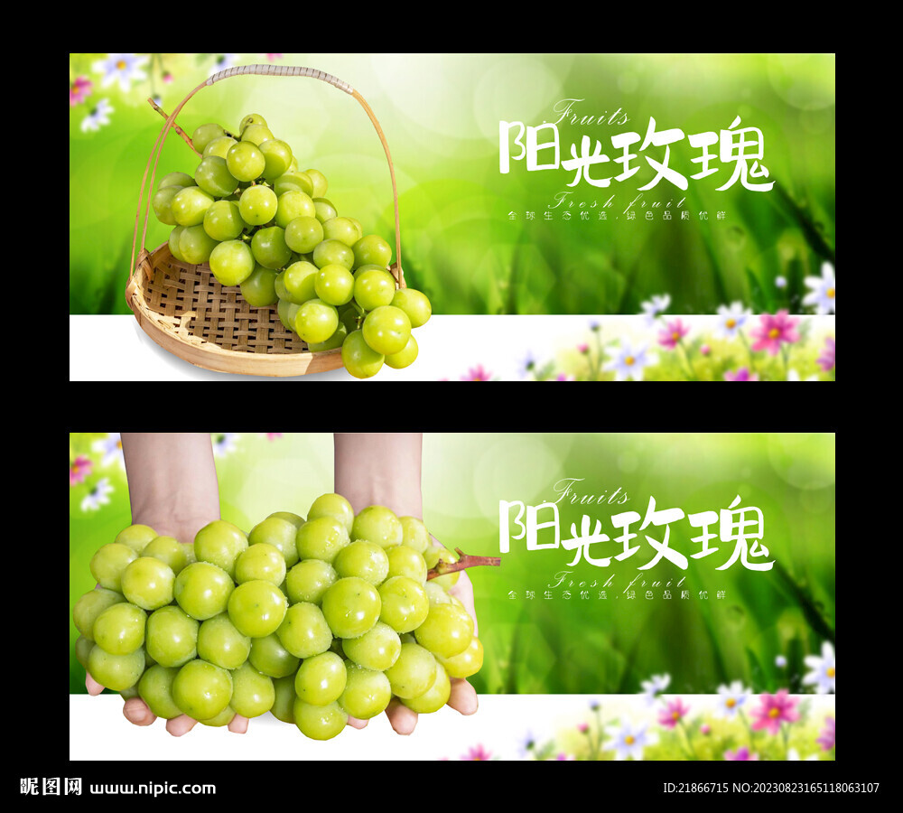 陽光玫瑰