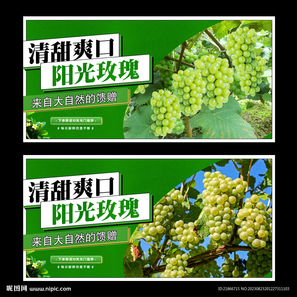 陽光玫瑰