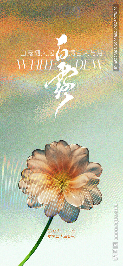 白露刷屏稿