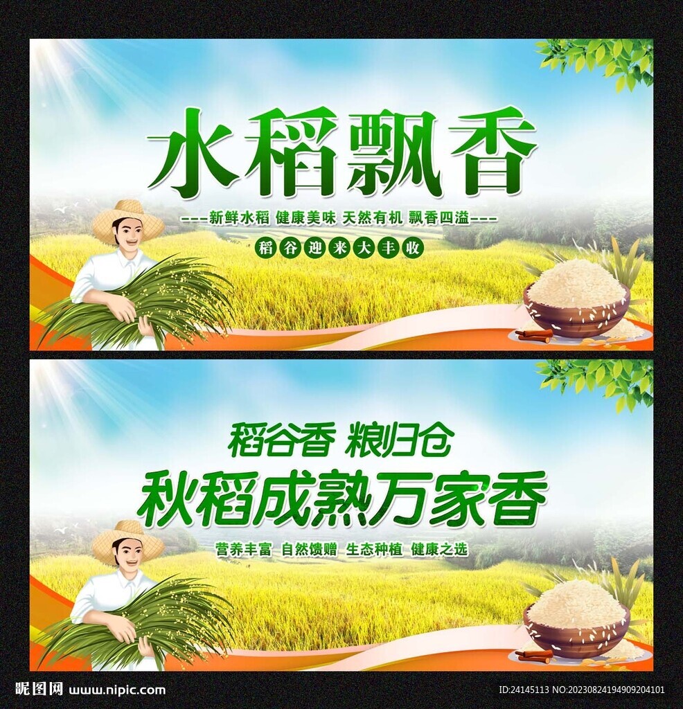 水稻