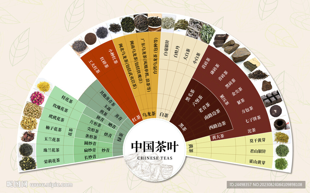 中国茶叶分类素材图