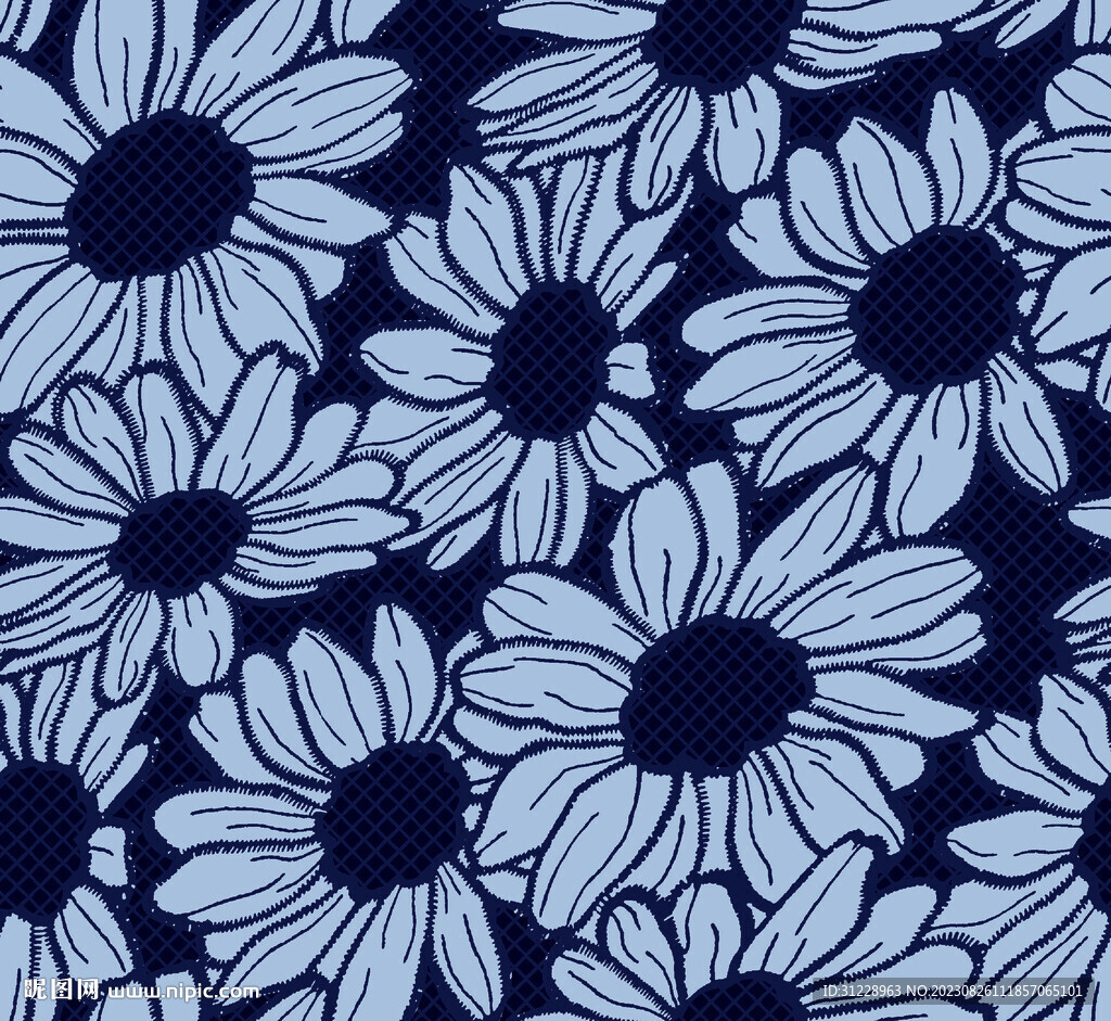 深蓝  菊花 