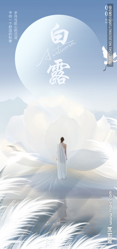 白露