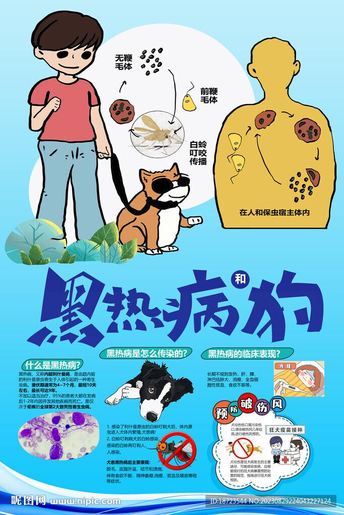 黑熱病和狗有什么關系