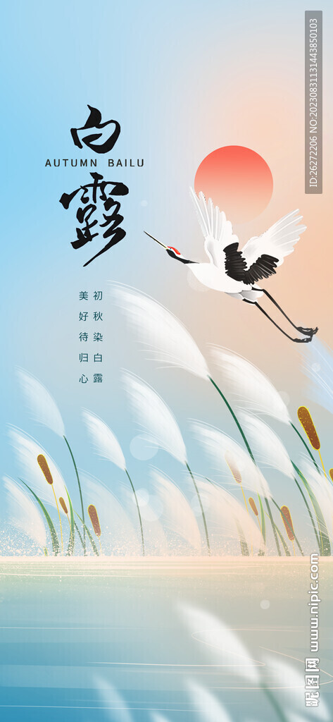 白露節氣海報