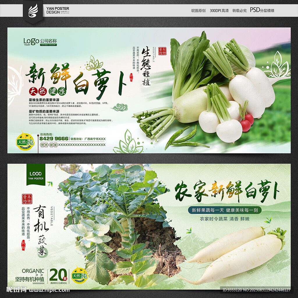 白蘿卜
