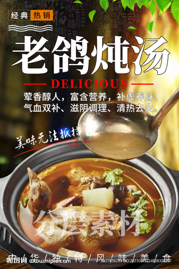 老鴿燉湯