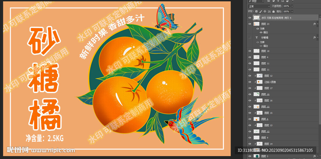 砂糖橘包裝設(shè)計(jì)