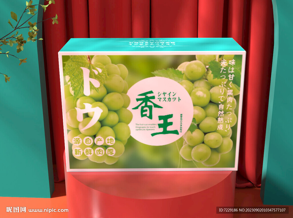 陽光玫瑰包裝展開圖
