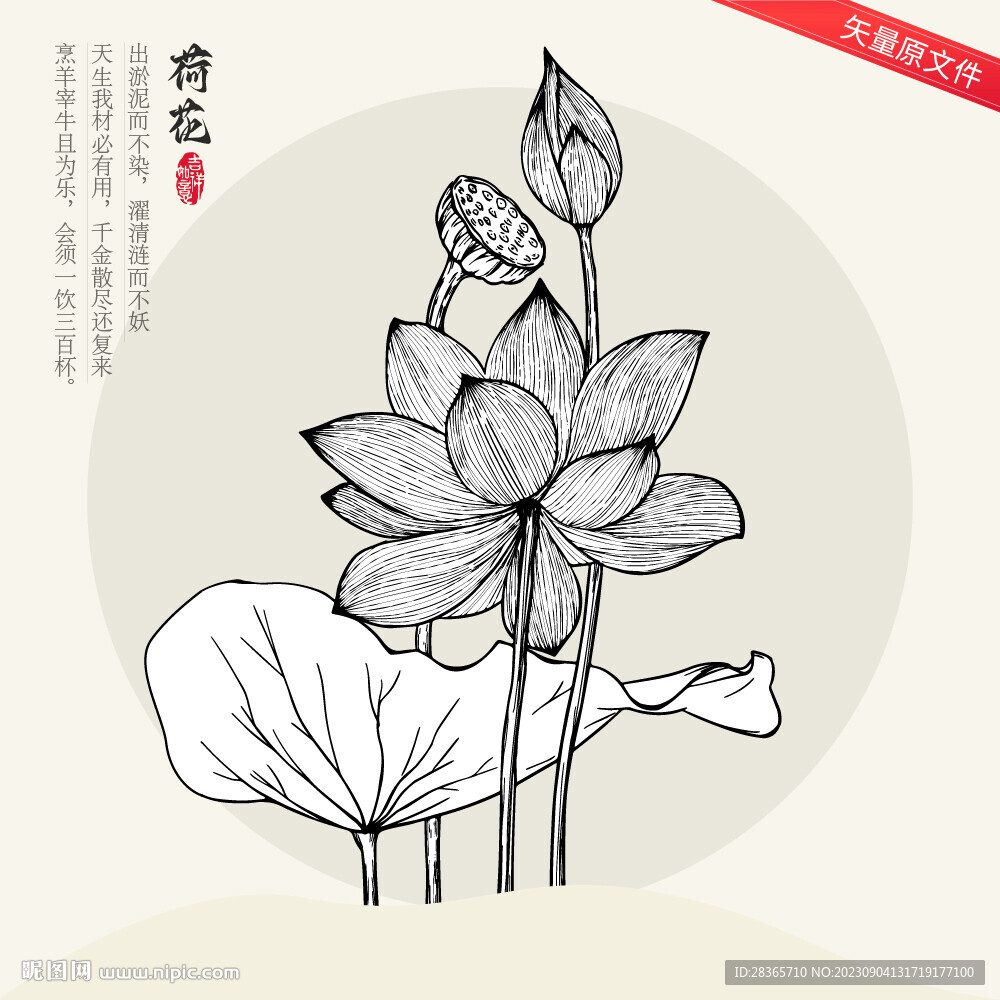 矢量荷花