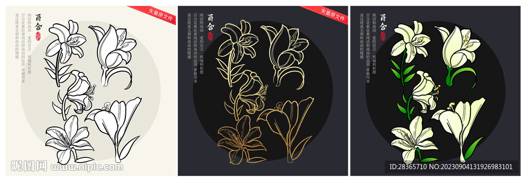 矢量百合花