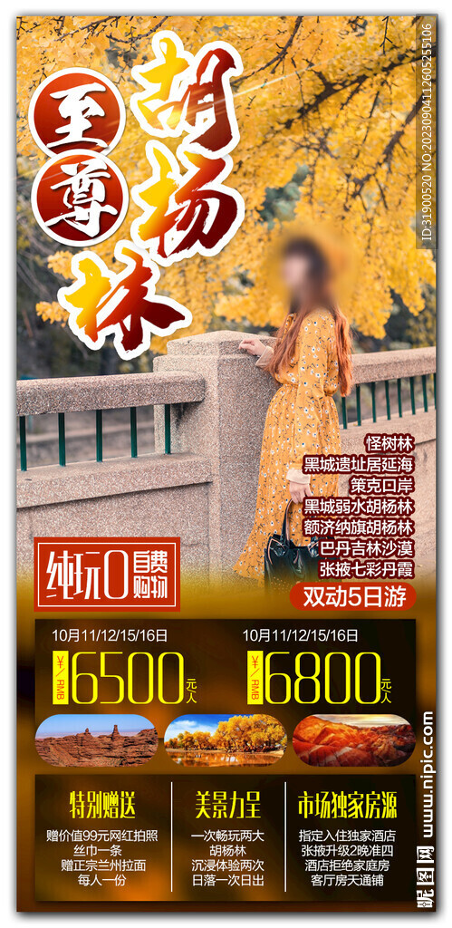 胡楊林