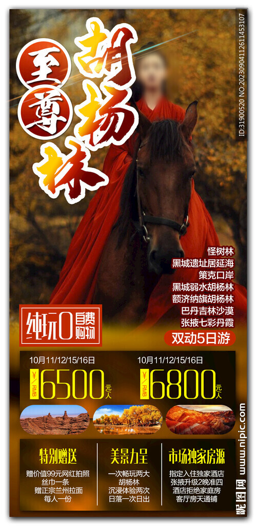 胡楊林