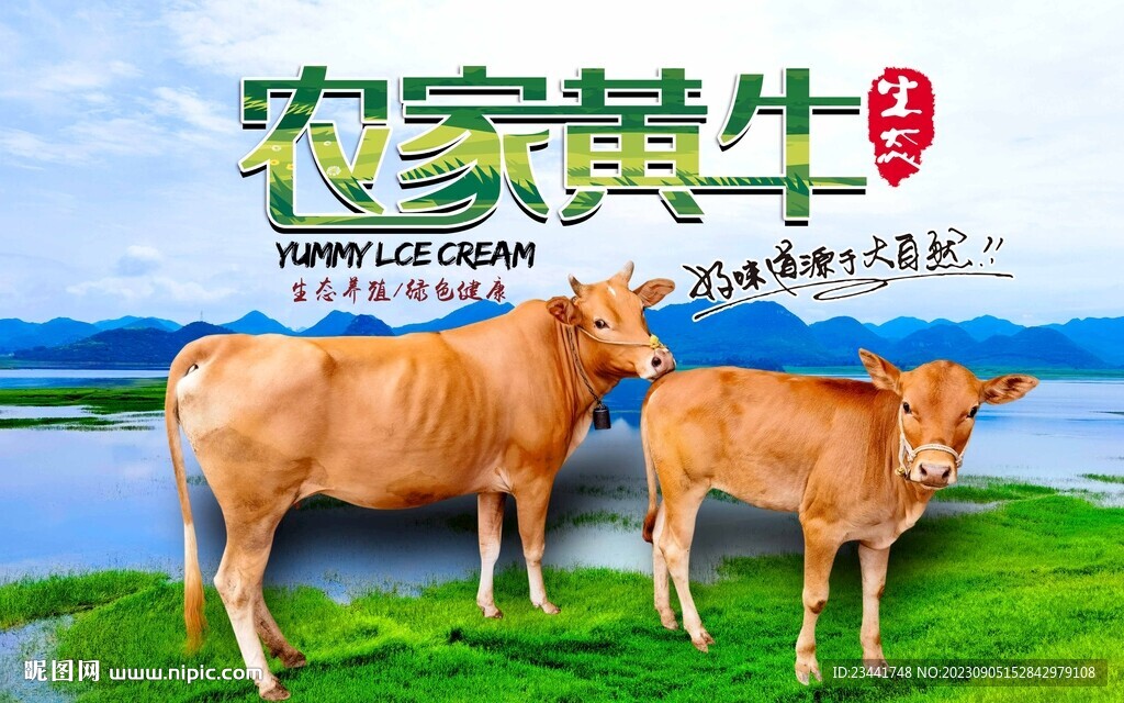 黃牛海報(bào)