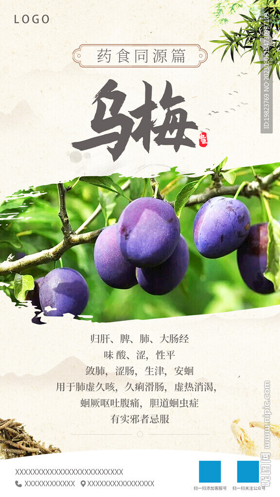 中式中醫(yī)藥烏梅每日宣傳